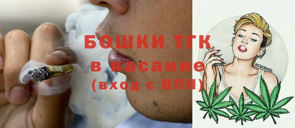 хмурый Богородск